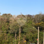 Casa à venda no condomínio Reserva São Nicolau, Atibaia - SP