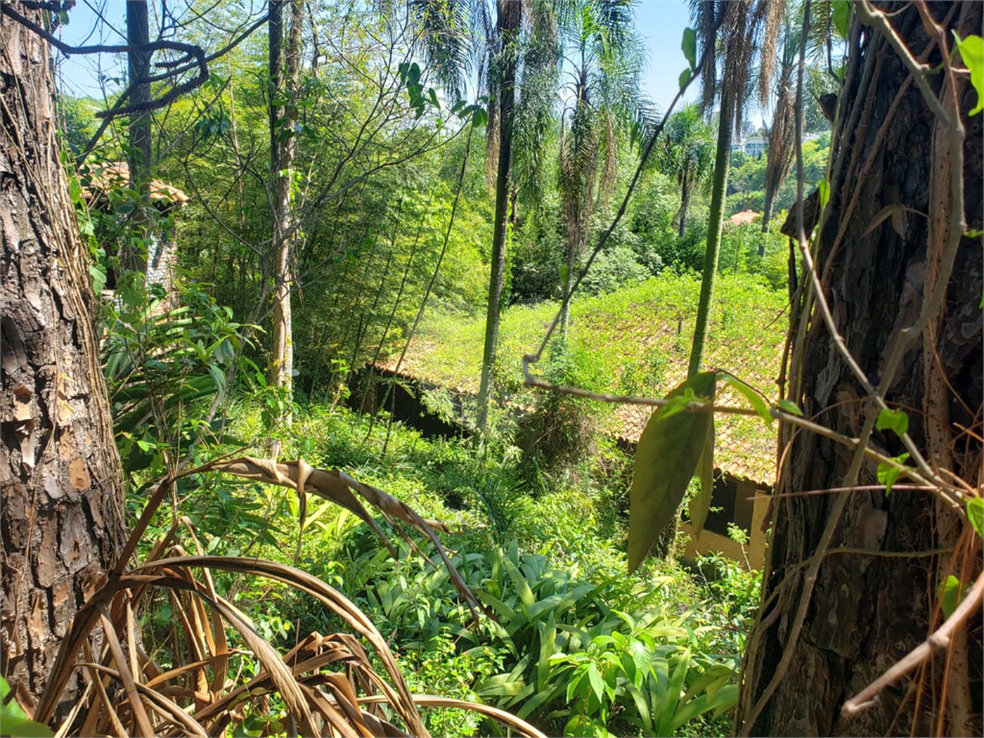 Terreno à venda em Morumbi, São Paulo, SP