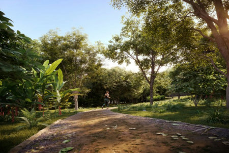 Nature São Roque