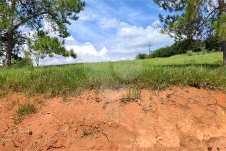GLEBAS RURAIS EM PIRACAIA A PARTIR 20.000 M², EXCELENTE PARA CHÁCARAS E FAZENDINHAS