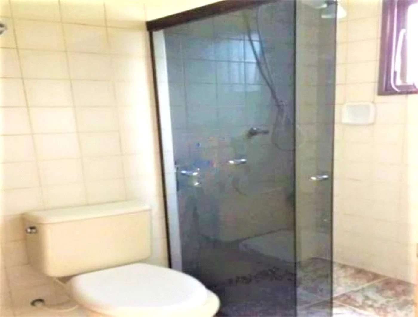 Apartamento à venda com 2 quartos, sendo 1 suíte, em Vila Polopoli, São Paulo, SP