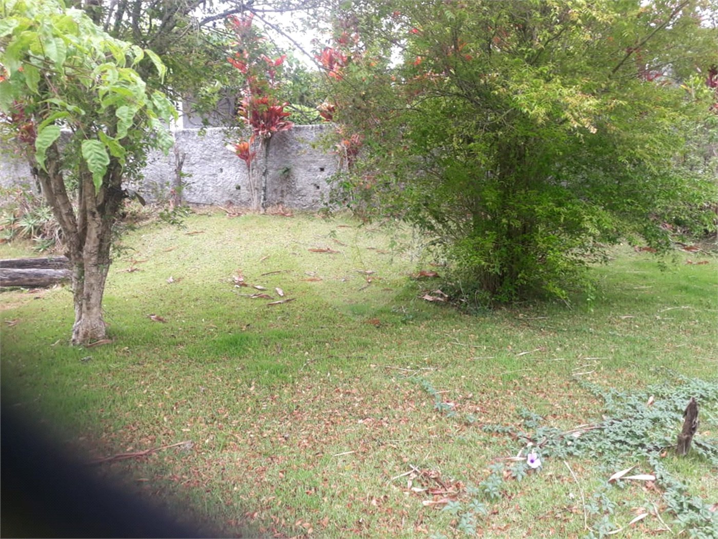 Terreno para alugar em Jardim Rene, São Roque, SP