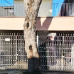 Sobrado à venda com 4 quartos em Parque Edu Chaves, São Paulo, SP