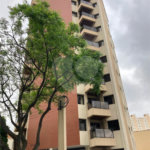 Apartamento à venda com 3 quartos, sendo 1 suíte, em Mandaqui, São Paulo, SP