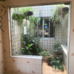 Casa à venda com 5 quartos, sendo 3 suítes, em Vila Rosália, Guarulhos, SP