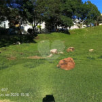 Terreno à venda em Vila Irene, São Roque, SP
