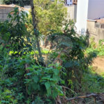Terreno à venda em Tucuruvi, São Paulo, SP