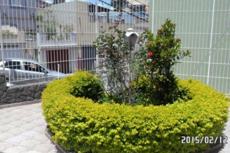 Apartamento à venda com 2 quartos, sendo 1 suíte, em Parada Inglesa, São Paulo, SP