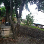 Terreno à venda com 3 quartos em Vila Guilherme, São Paulo, SP