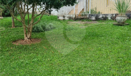 Terreno à venda em Vila Albertina, São Paulo, SP