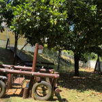 Casa à venda com 3 quartos, sendo 1 suíte,  no condomínio Villagio da Granja, Cotia - SP