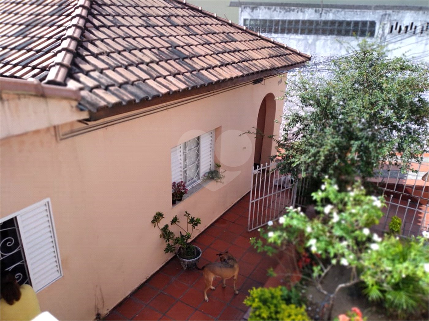 Terreno à venda com 1 quarto em Vila Mazzei, São Paulo, SP