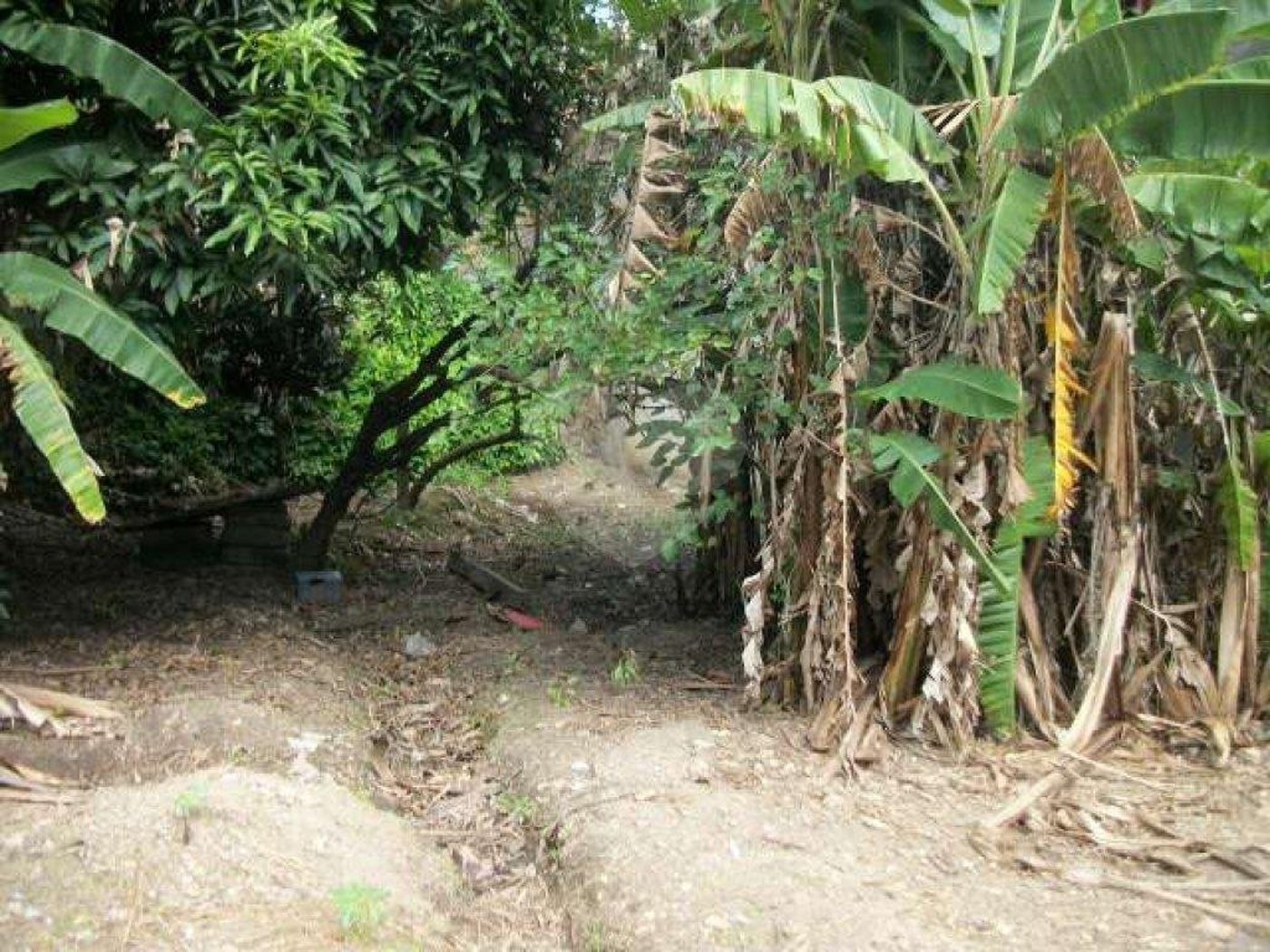 Terreno à venda em Jardim Jussara, São Paulo, SP
