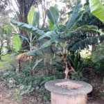 Chácara à venda com 2 quartos em Freitas, São José dos Campos, SP