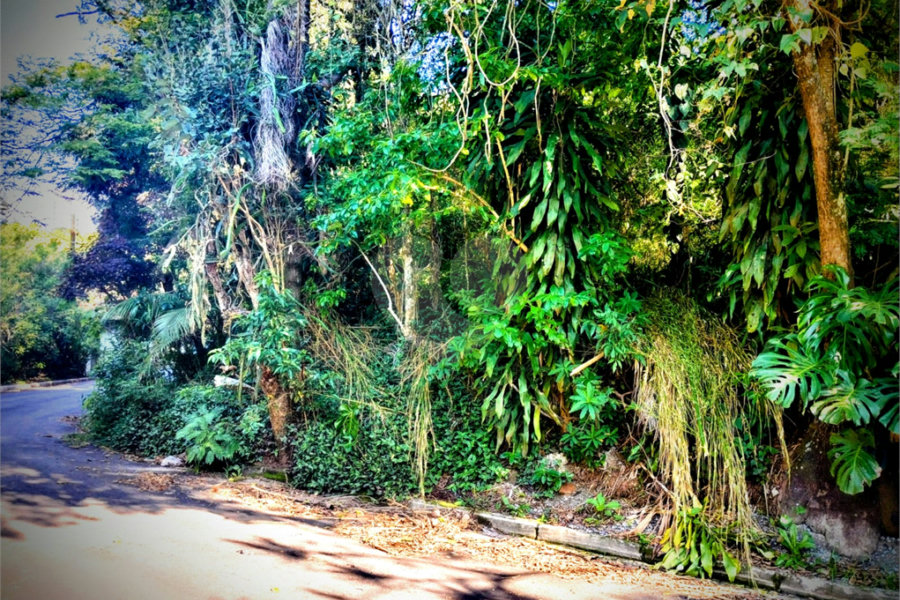 Terreno à venda em Serra da Cantareira, Mairiporã, SP