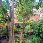 Casa próximo a represa do Guarapiranga