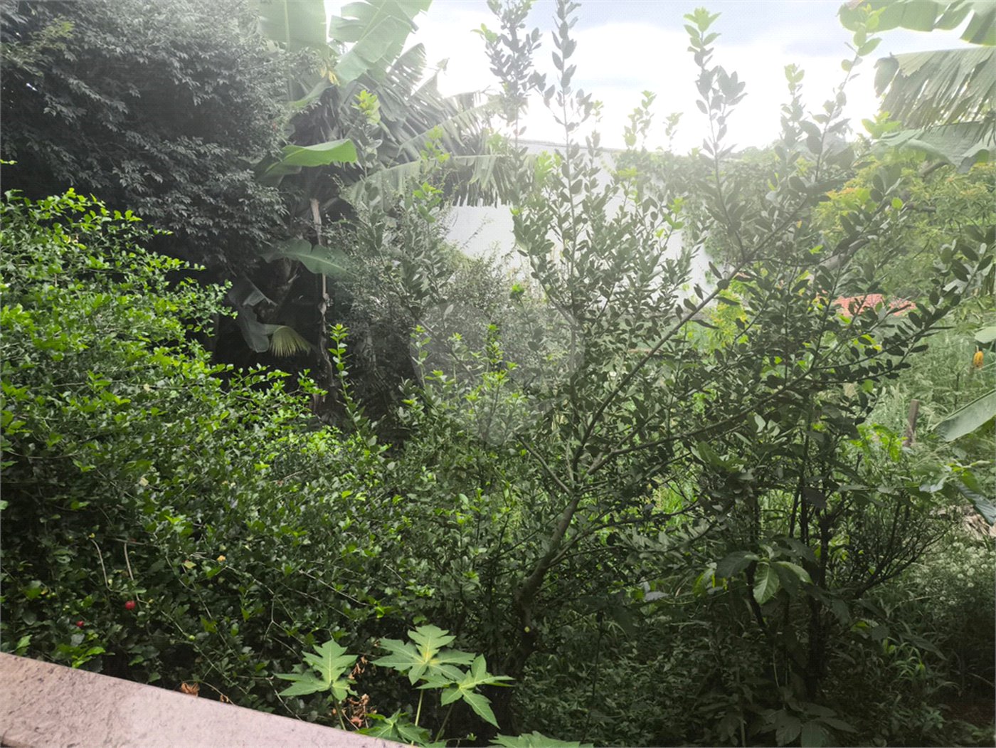 Casa à venda com 3 quartos, sendo 1 suíte, em Tremembé, São Paulo, SP