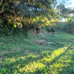 Terreno à venda em Geribá, Armação dos Búzios, RJ