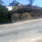 Terreno à venda em Jardim Armênia, Mogi das Cruzes, SP