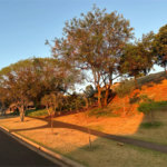 Terreno à venda em Residencial e Empresarial Alphaville, Ribeirão Preto, SP