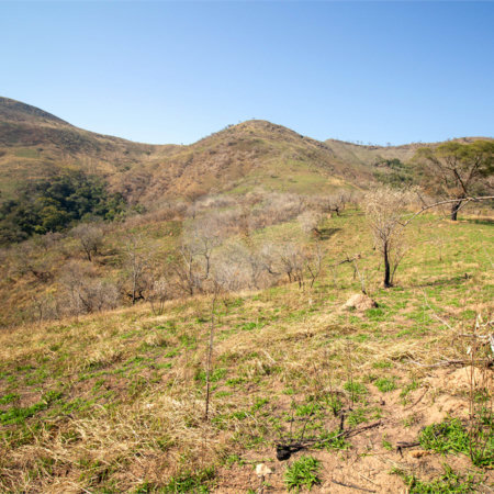 Terreno à venda em Recanto das Acácias, São Roque, SP