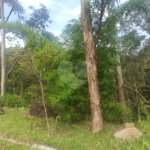 Sítio à venda com 9 quartos, sendo 5 suítes, em Portão, Atibaia, SP