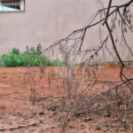 Terreno à venda em Vila Albertina, São Paulo, SP