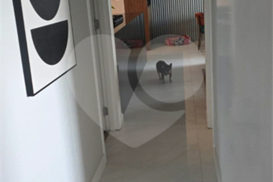 Apartamento à venda com 3 suítes em Santana, São Paulo, SP