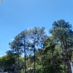 Casa à venda com 3 suítes no condomínio Residencial Jd. Floresta, São Paulo - SP