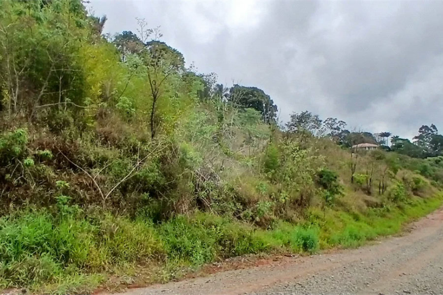 Terreno à venda em Luiz Fagundes, Mairiporã, SP
