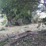 Casa à venda com 3 quartos em Jardim Flórida, São Roque, SP