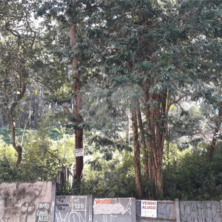 Terreno à venda ou para alugar em Vila Andrade, São Paulo, SP