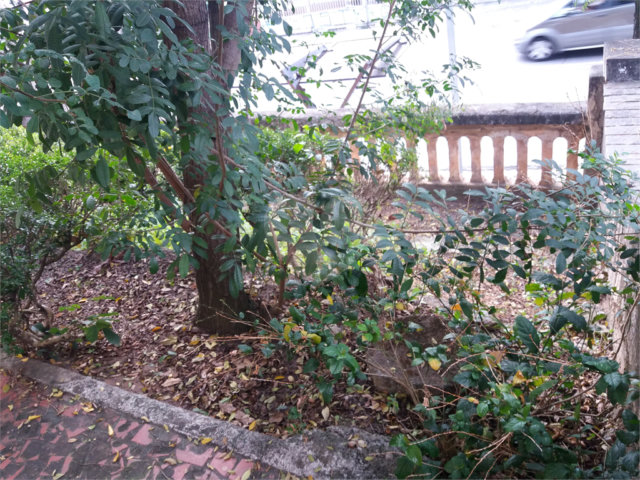 Terreno à venda com 3 quartos em Vila Guilherme, São Paulo, SP