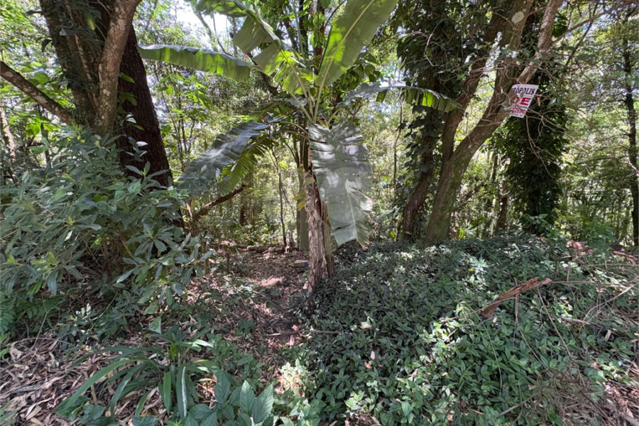 Terreno à venda em Serra da Cantareira, Mairiporã, SP