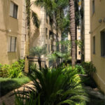 Apartamento à venda com 3 quartos, sendo 1 suíte, em Paraisópolis, São Paulo, SP