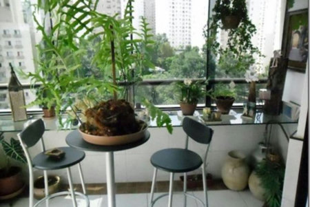 Apartamento à venda com 3 quartos, sendo 1 suíte, em Vila Andrade, São Paulo, SP