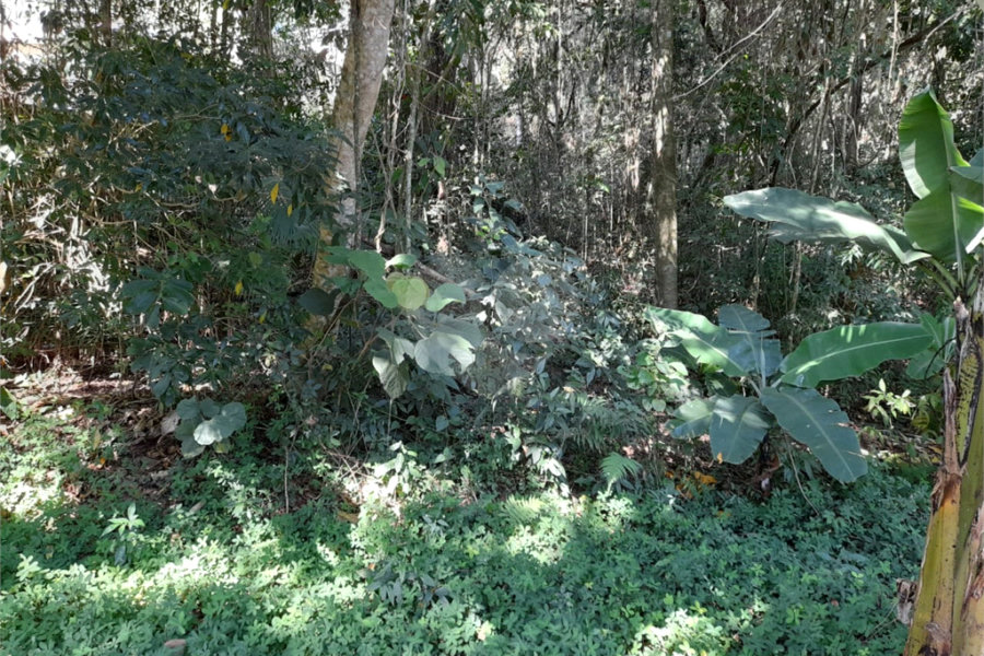 Terreno à venda em Roseira, Mairiporã, SP