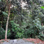Terreno à venda em Serra da Cantareira, Mairiporã, SP
