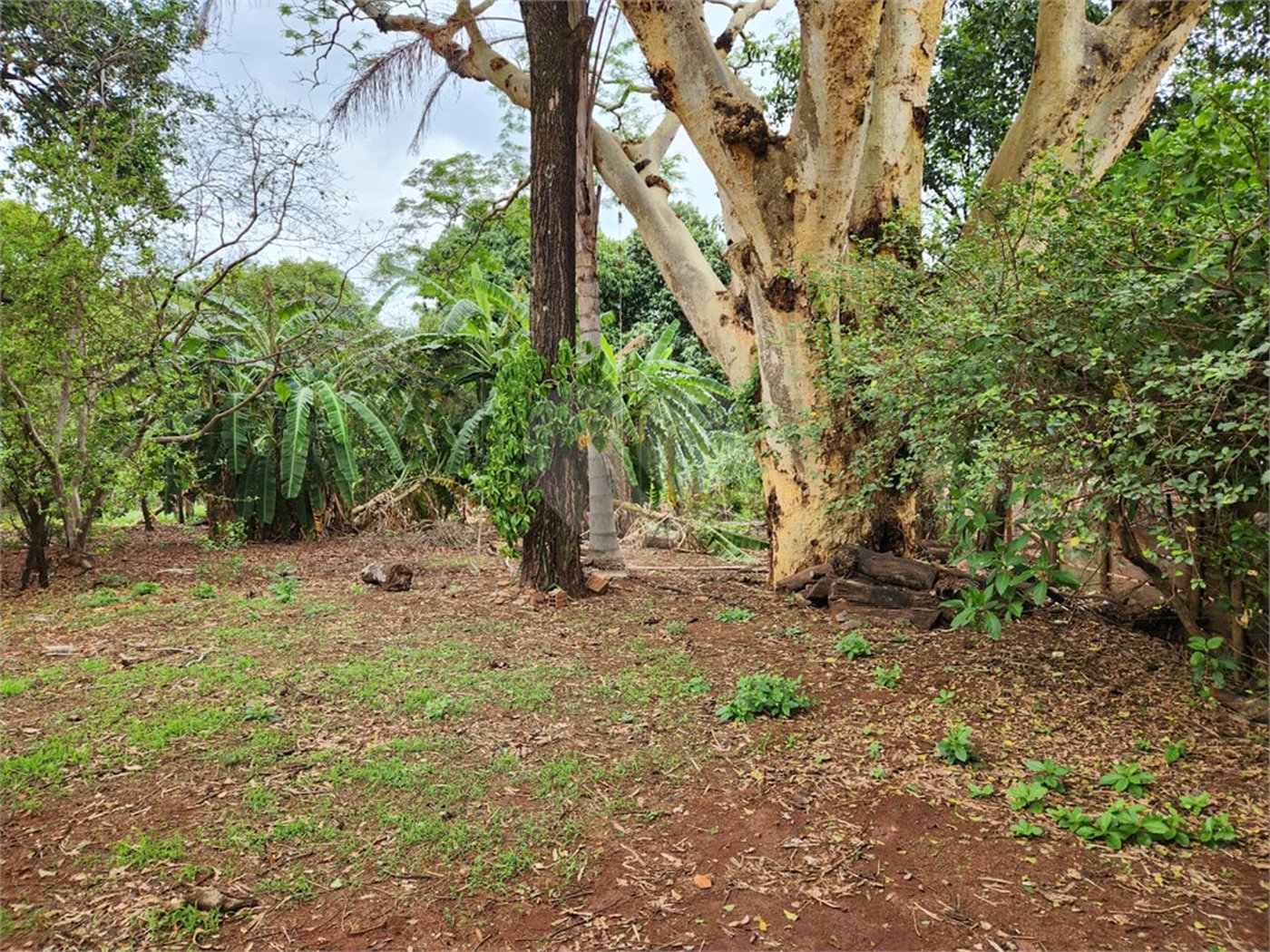 Chácara à venda com 2 quartos em Jardim Califórnia, Araraquara, SP