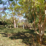 Terreno à venda em Parque Marabá, Guarulhos, SP