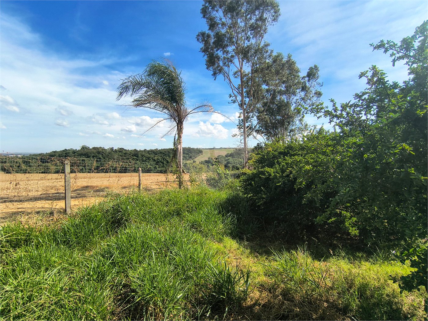 Sítio à venda com 3 quartos em Campo de Boituva, Boituva, SP