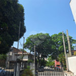 Sobrado à venda com 4 quartos em Planalto Paulista, São Paulo, SP