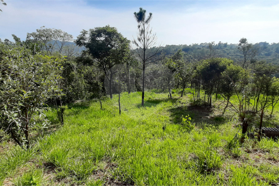 Terreno à venda em São Vicente, Mairiporã, SP