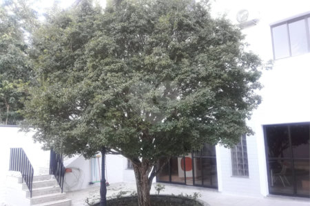 Sobrado à venda com 3 quartos, sendo 1 suíte,  em Vila Paulicéia, São Paulo, SP