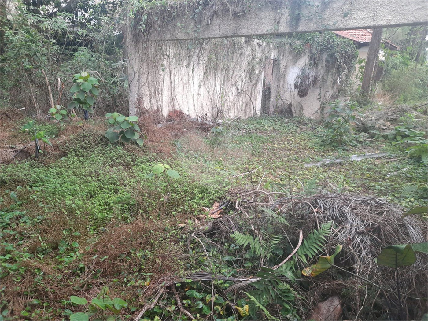Terreno à venda em Alto da Boa Vista, São Paulo, SP