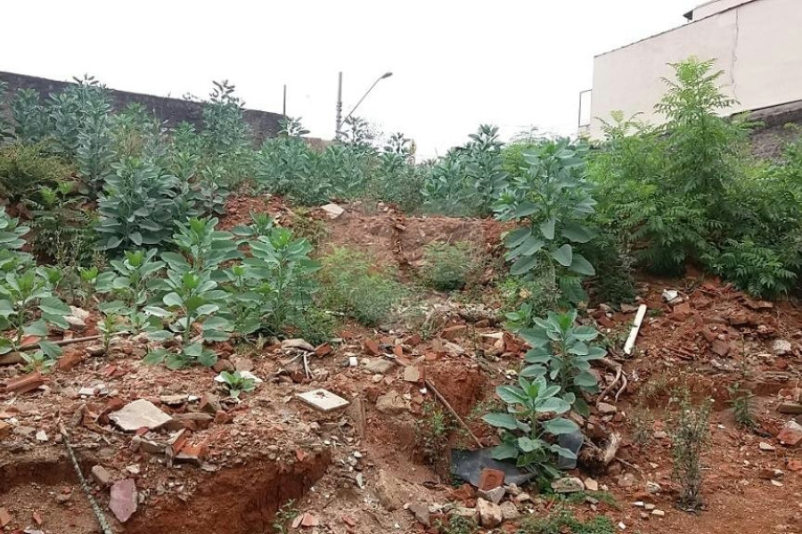 Terreno à venda em Limão, São Paulo, SP
