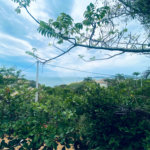 Casa à venda com 7 suítes em Albatroz, Armação dos Búzios, RJ