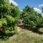 Chácara à venda com 2 quartos, sendo 1 suíte, em Aboboras, Laranjal Paulista, SP