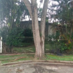 Casa Térrea à venda com 4 quartos, sendo 1 suíte, em Instituto de Previdência, São Paulo, SP