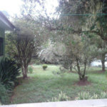 Terreno à venda com 1 quarto, sendo 2 suítes, em Horto Florestal, São Paulo, SP